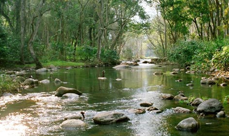 chinnar national park