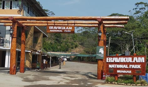 eravikulam park