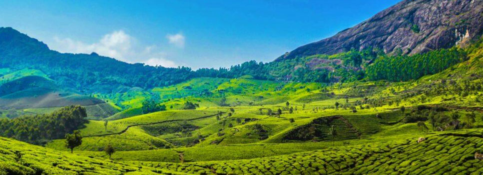 hills in kerala