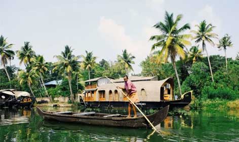 things to do in kerala