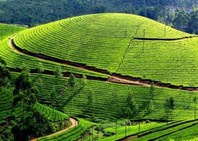 kerala tours