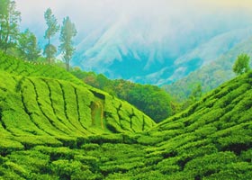 kerala tour packages