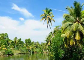 kerala tour