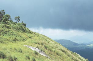 kerala hill 